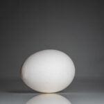 Nutrition Basics - a white egg sitting on top of a table